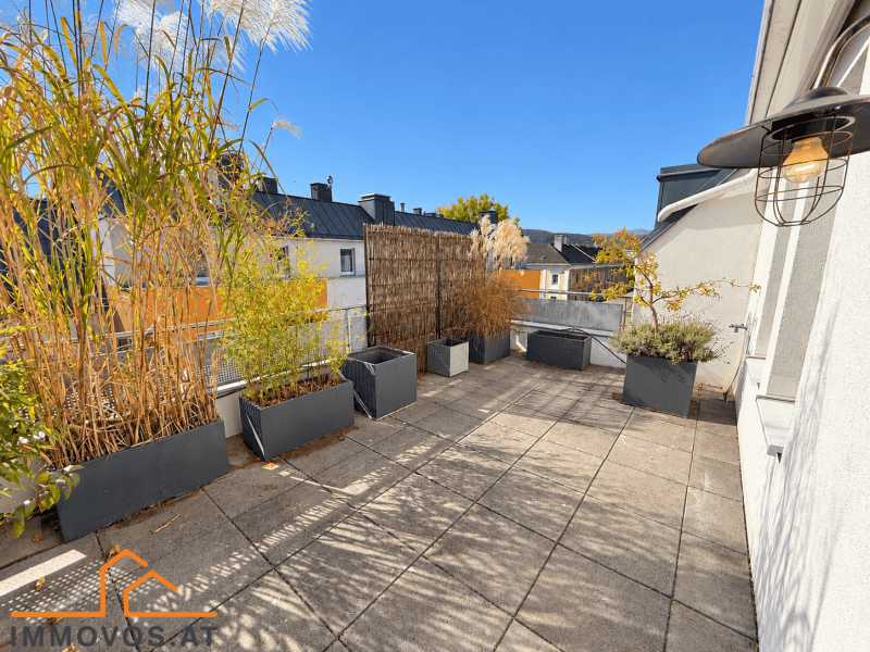 Terrase 1.png