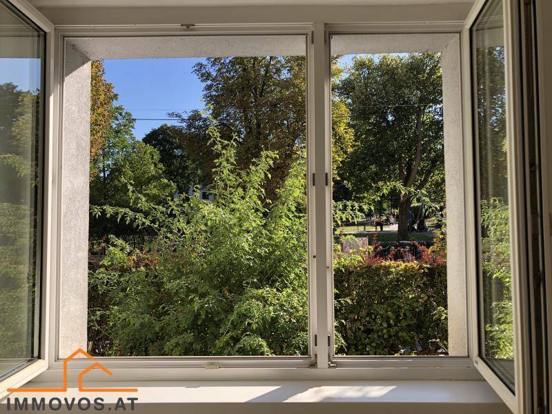Ausblick aus dem Wohnraum-Fenster ins Grüne