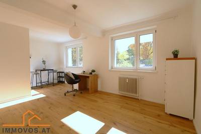 1-Zimmer-Wohnung Erstbezug nach Sanierung, 30 m², Hietzing, Hietzing