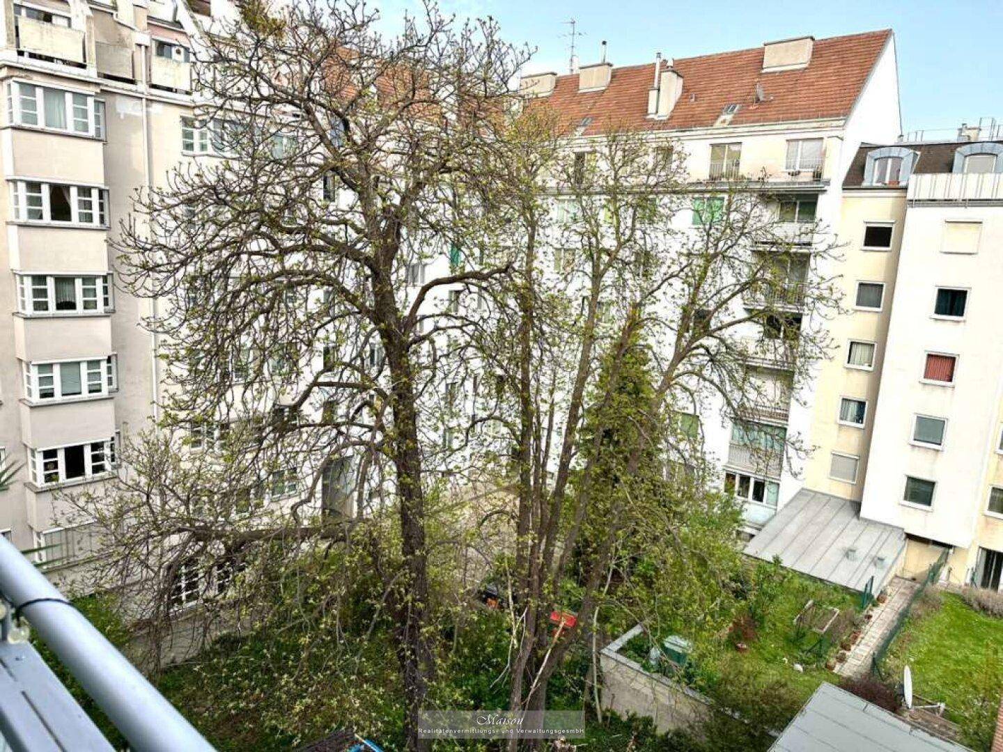 Blick vom Balkon auf einen grünen Innenhof mit hohen Bäumen und umliegenden Gebäuden.