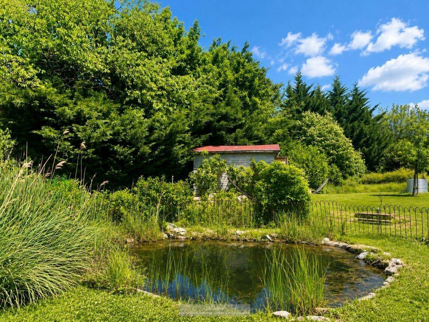 Natürlicher Gartenteich mit üppiger Vegetation und einem kleinen Schuppen im Hintergrund.