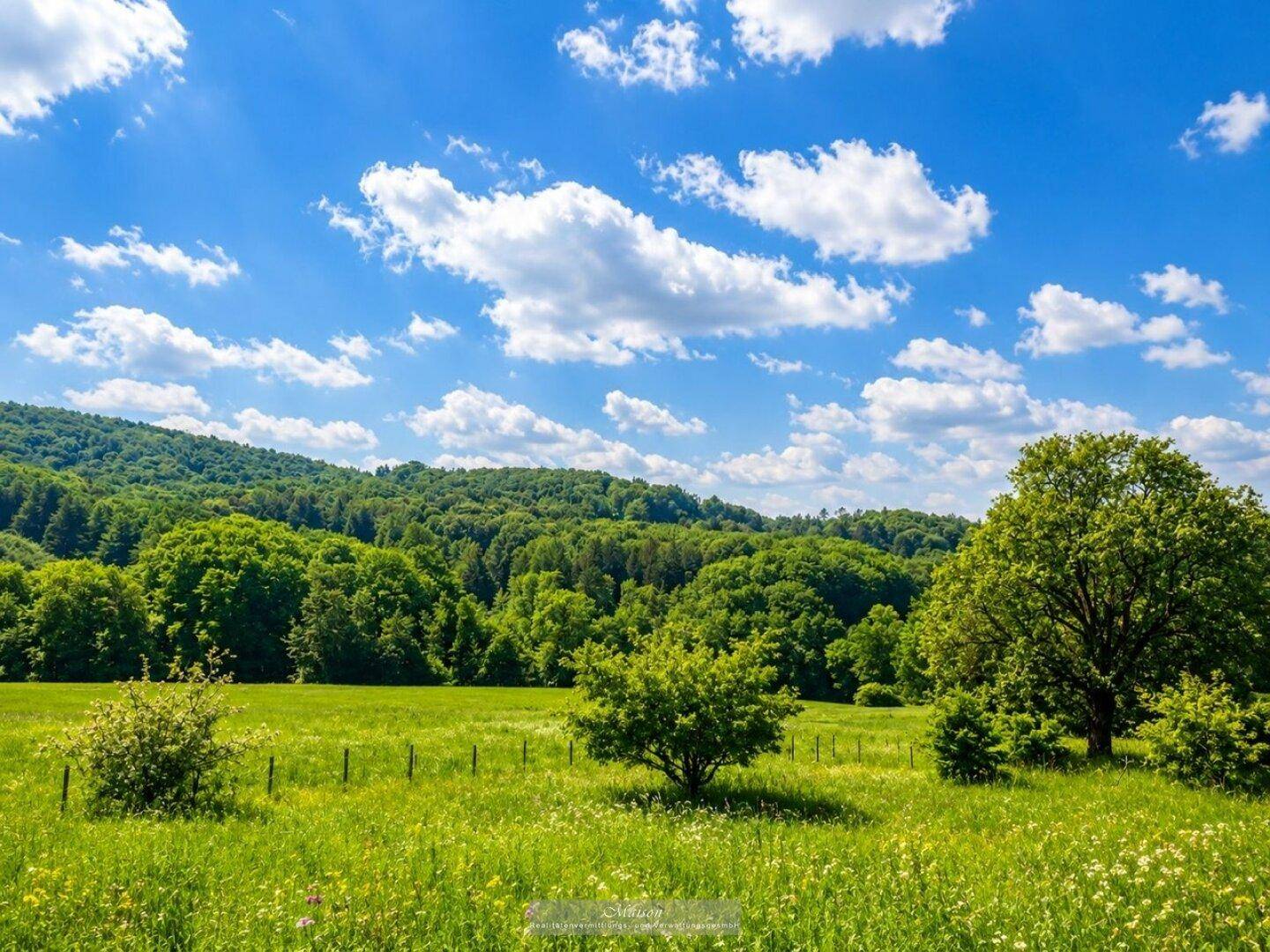 Weitläufige grüne Landschaft mit Wiesen und Bäumen unter strahlend blauem Himmel.