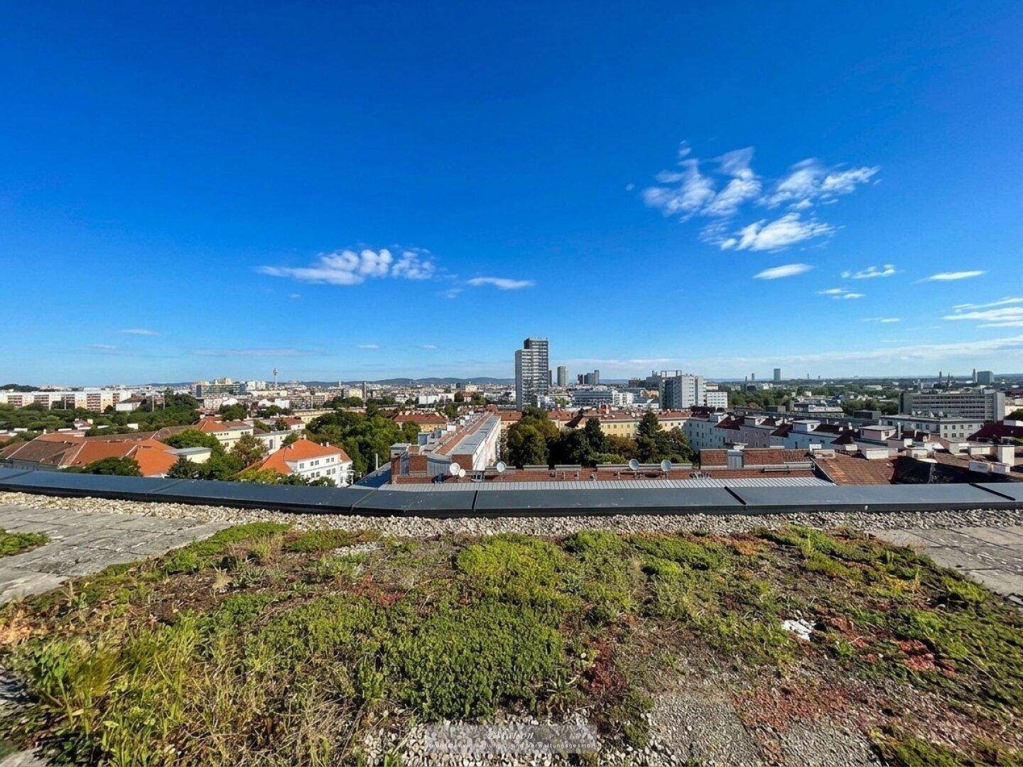 Weitläufiger Blick über die Stadt von einem begrünten Dachbereich unter blauem Himmel.