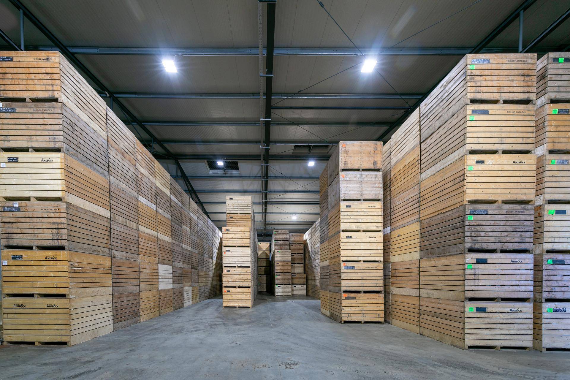 Innenansicht eines Lagerraums mit hohen Stapeln von Holzkisten, beleuchtet von Deckenleuchten.