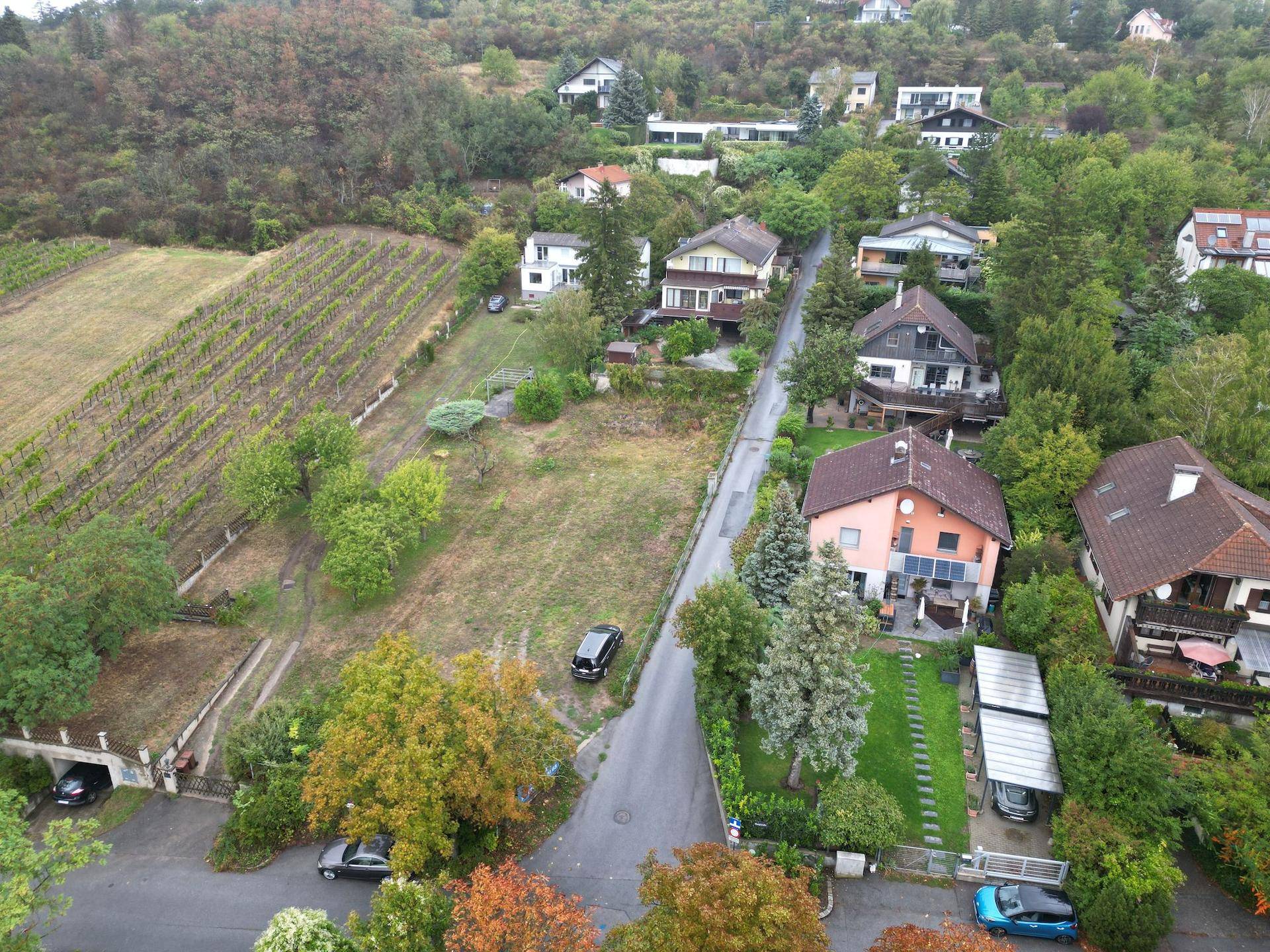 Luftaufnahme einer Wohngegend mit Einfamilienhäusern, umgeben von Weinbergen und Wald.