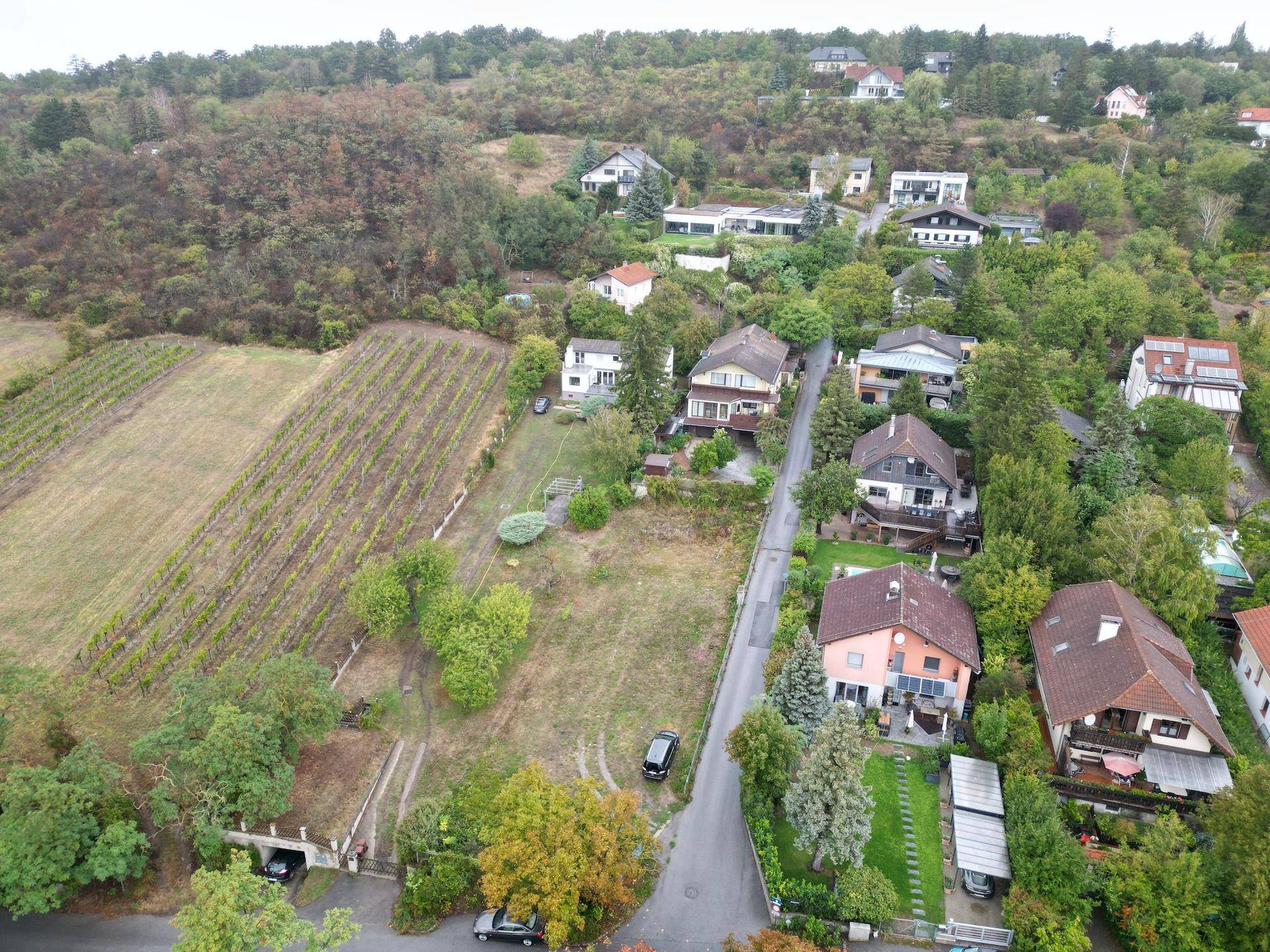 Panoramablick auf eine Wohnsiedlung am Hang mit Weinbergen und viel Grün.
