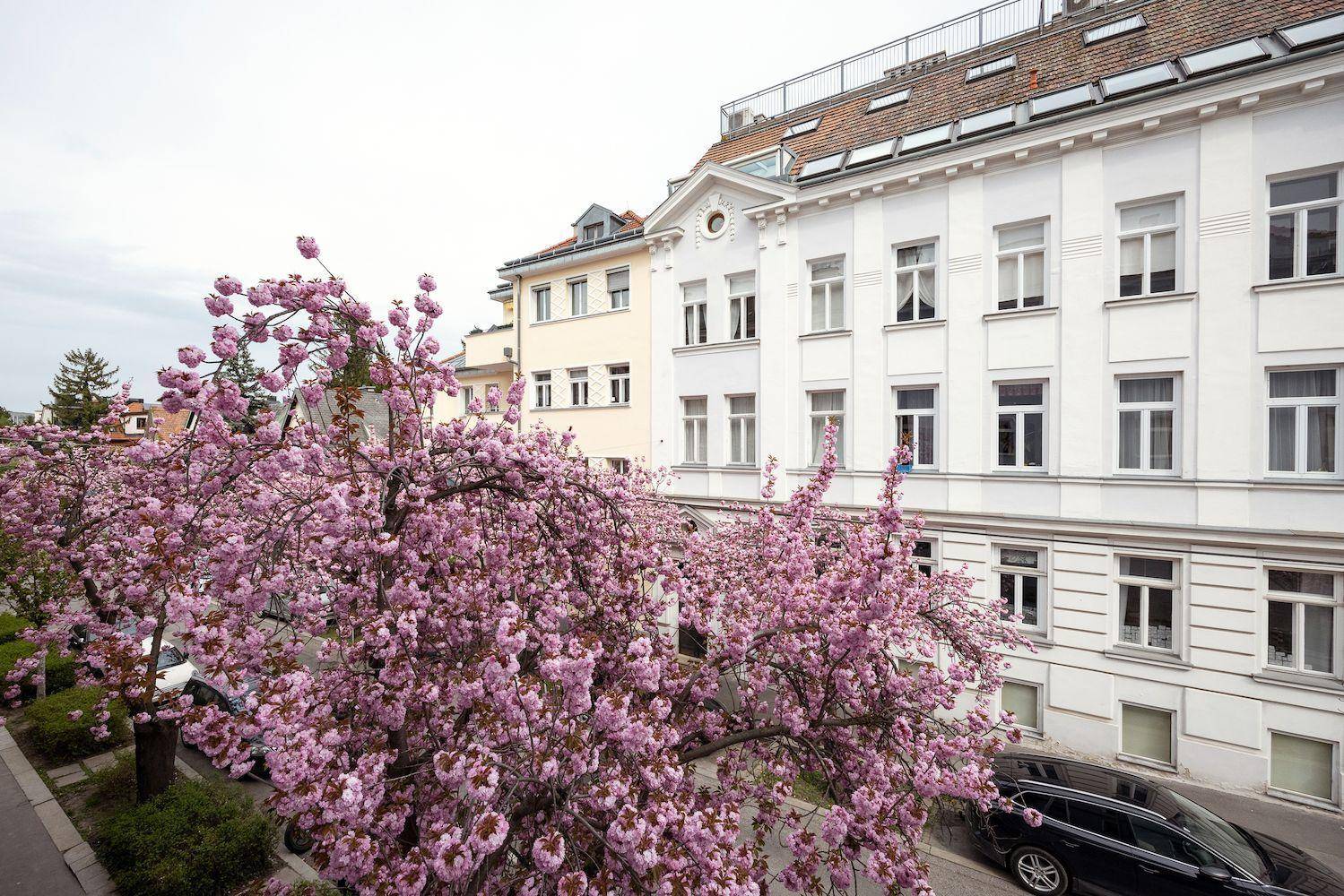 Außenansicht eines Wohngebäudes mit blühenden Bäumen im Frühling.