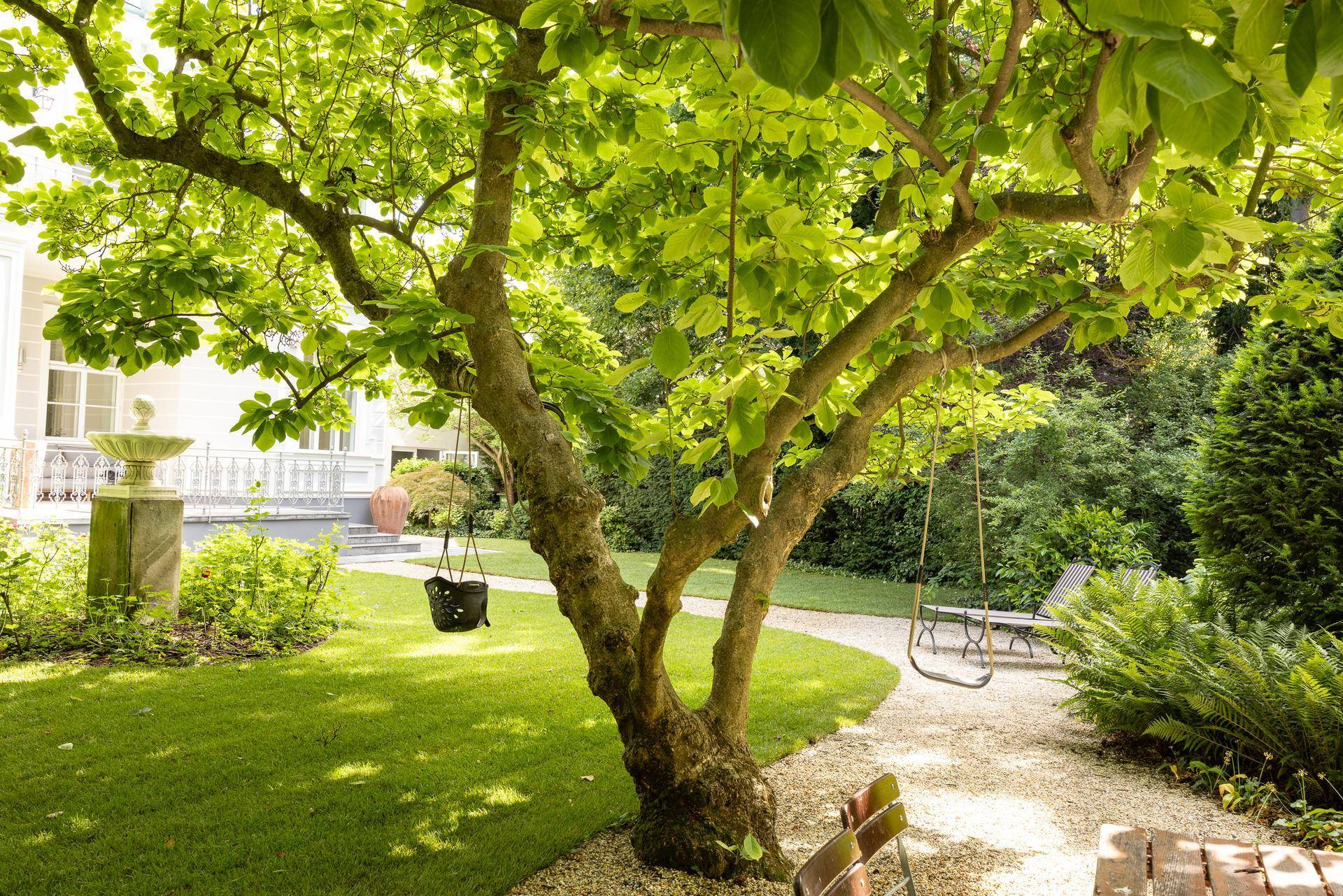 Alter Baum mit Schaukeln im sonnigen Garten, ideal für entspannte Stunden.