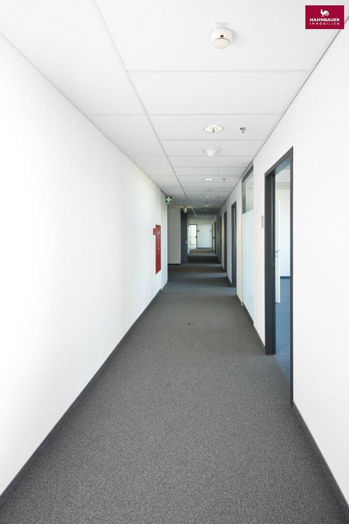 Slide 7