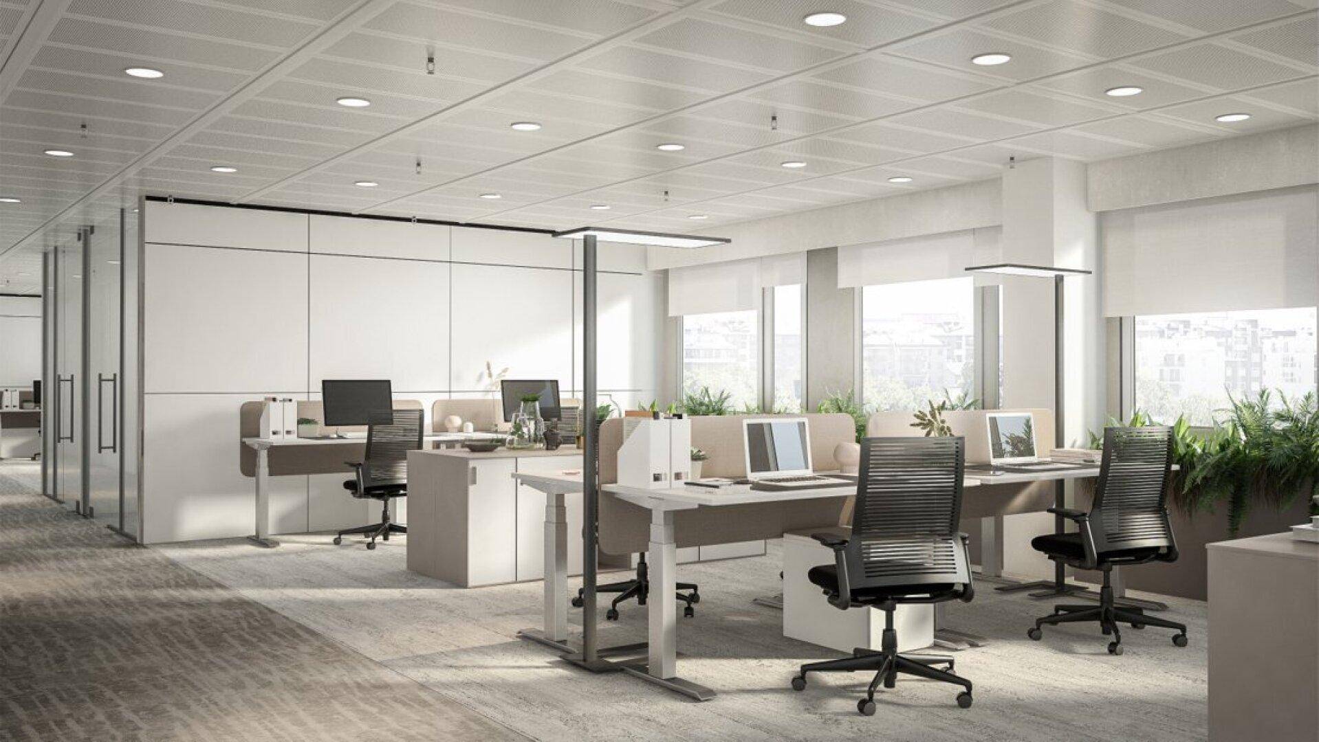 Modernes Büro mit ergonomischen Arbeitsplätzen, Teppichboden und großen Fenstern, die viel Tageslicht hereinlassen.