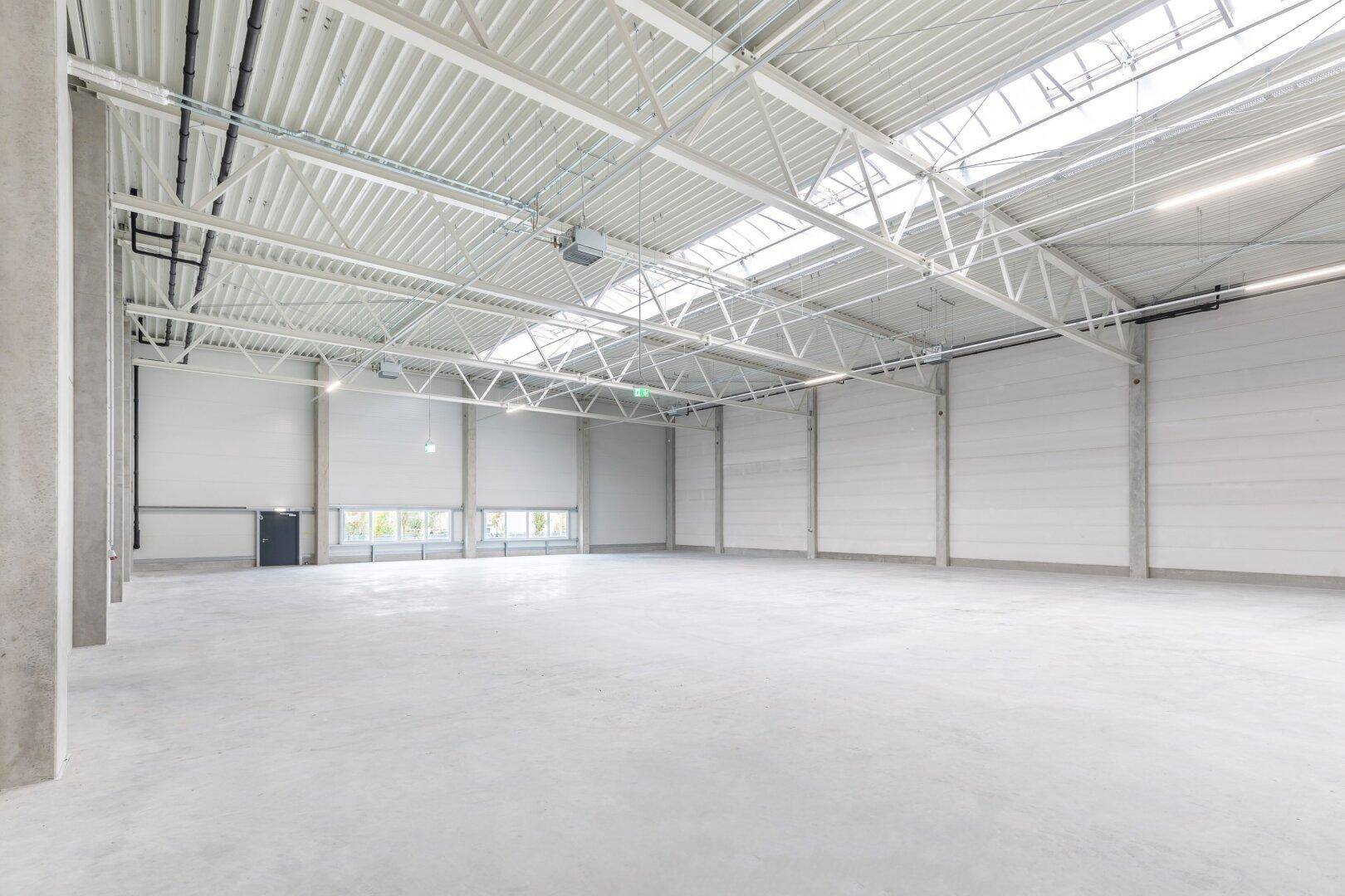 Geräumige, helle Lagerhalle mit hoher Decke, Oberlichtern und robustem Betonboden, ideal für Logistik und Lagerung.