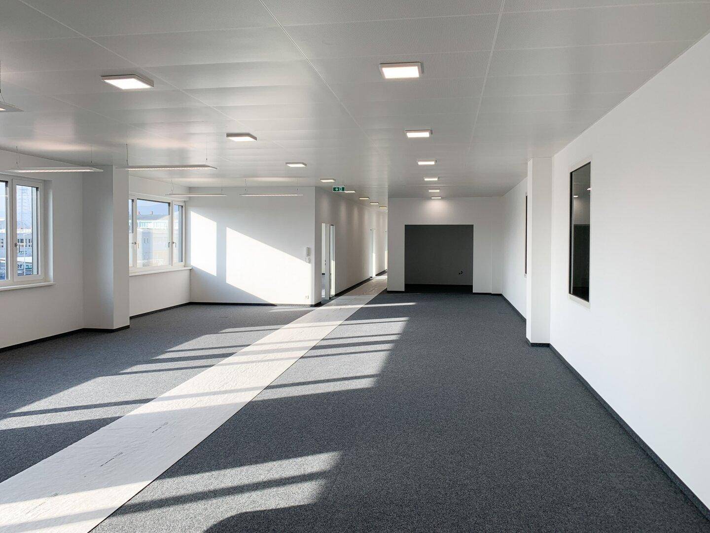 Helles, modernes Büro mit großen Fenstern, grauem Teppichboden und viel natürlichem Licht für eine angenehme Arbeitsatmosphäre.