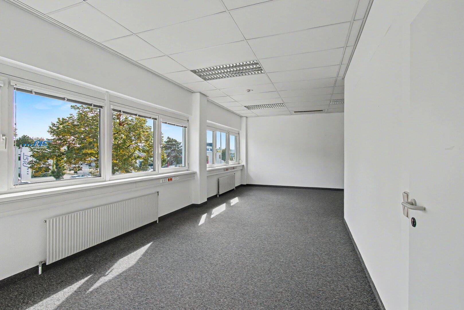 Helles Büro mit Teppichboden, großen Fenstern und Blick auf Bäume und Gebäude.