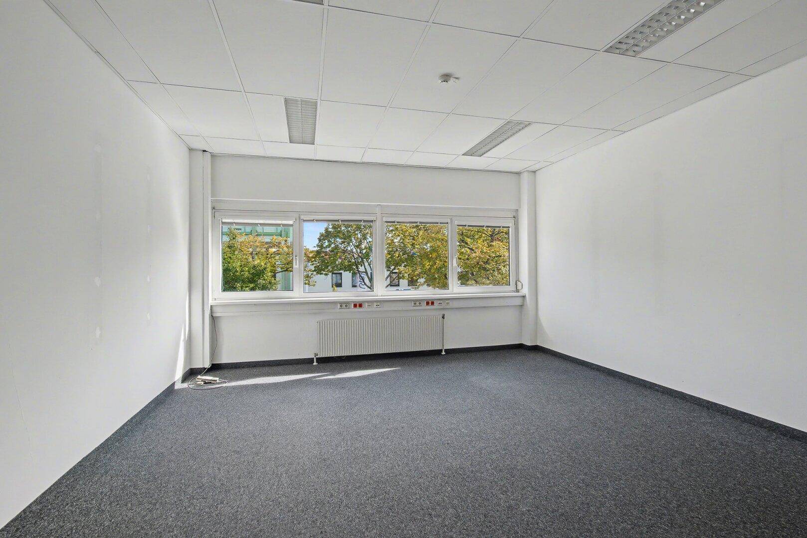 Leeres Büro mit Teppichboden, großen Fenstern und Blick auf die Umgebung.