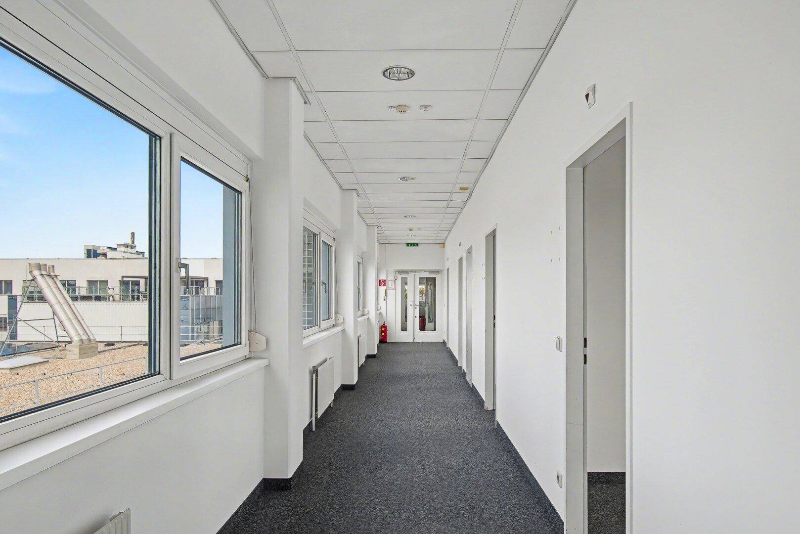 Langer, heller Flur mit Teppichboden, Fenstern und Türen zu den Büroräumen.
