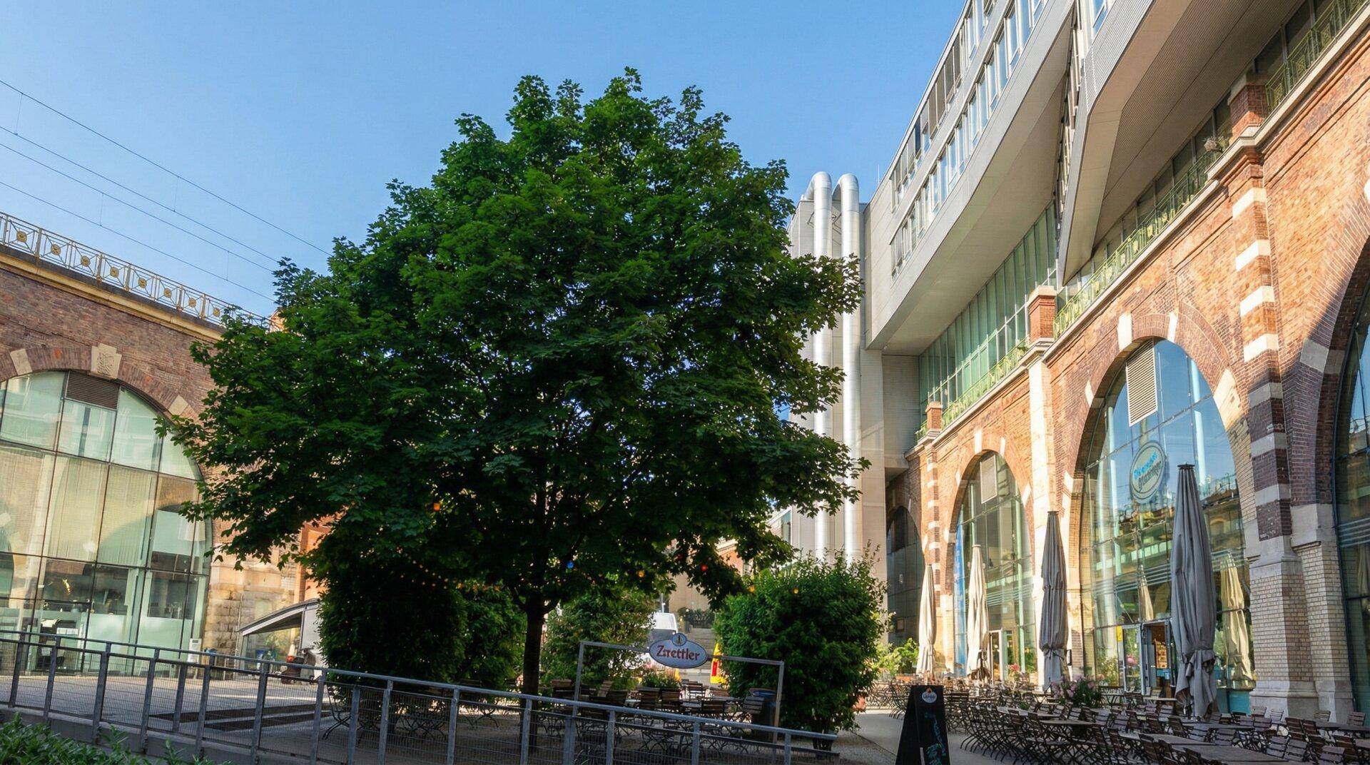 Belebter Innenhof mit großem Baum, historischen Backsteinbögen und modernen Gebäudeteilen.