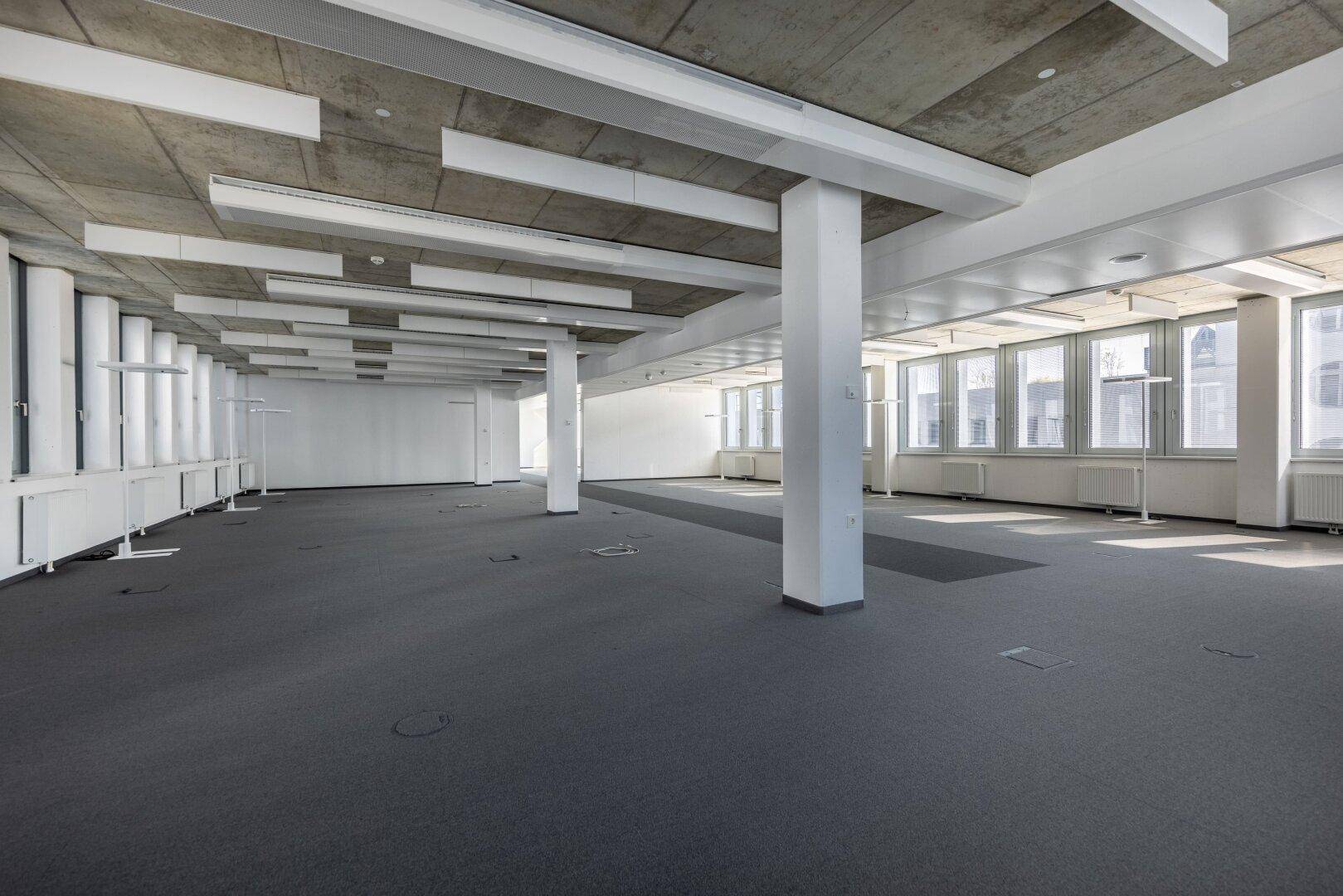 Großer, leerer Büroraum mit Teppichboden, Beton-Decke und vielen Fenstern.