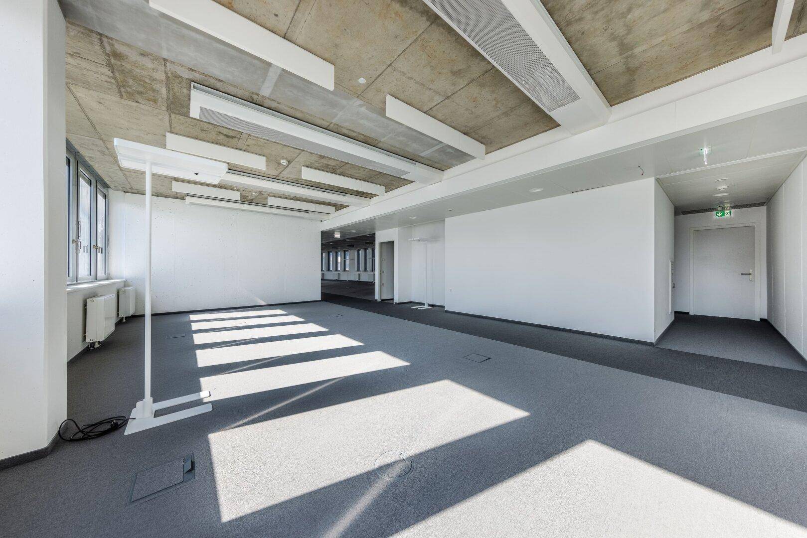 Heller Bürobereich mit Teppichboden, Beton-Decke und Sonnenlicht, das durch die Fenster fällt.