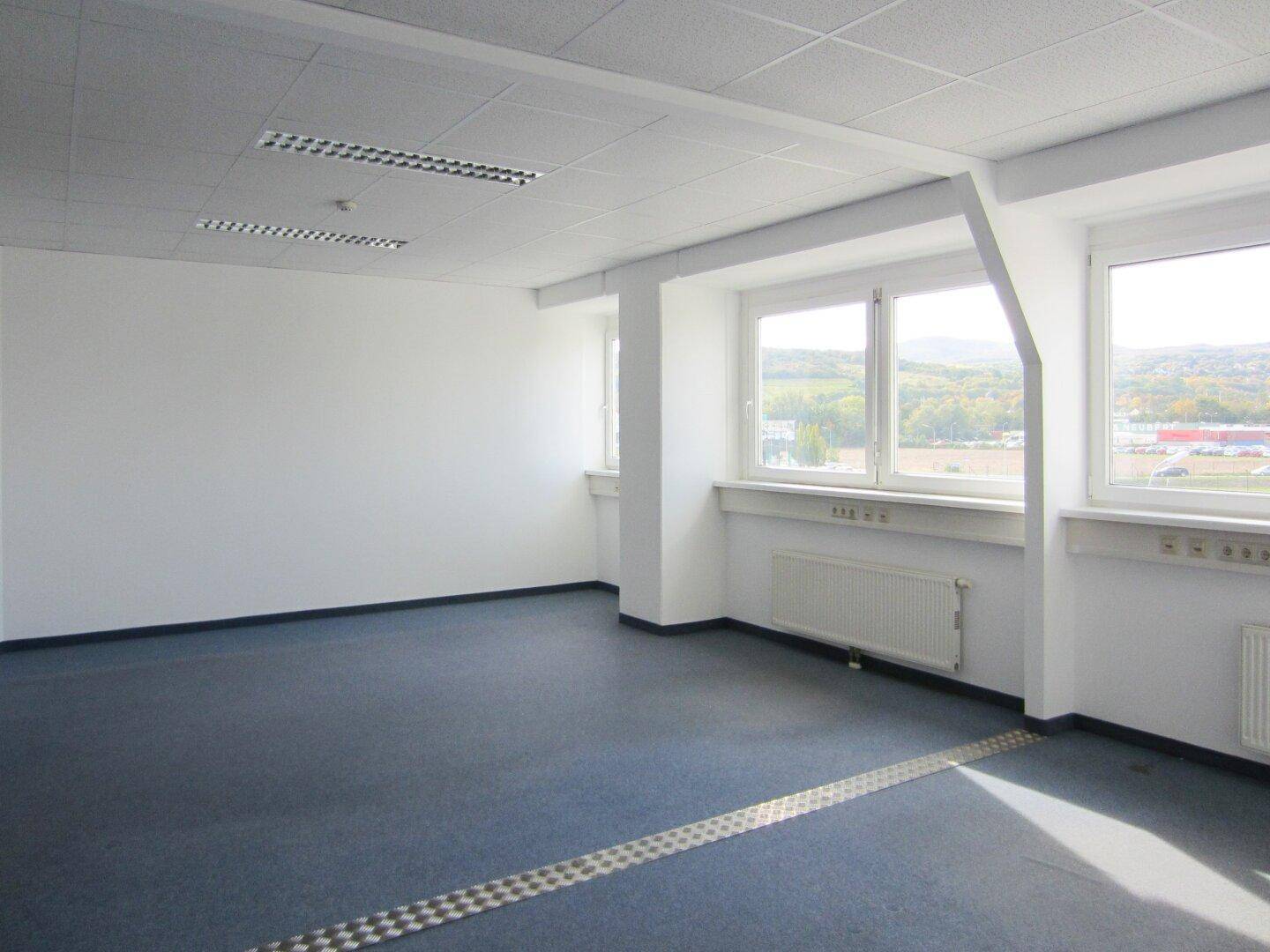 Helles Büro mit blauem Teppichboden, großen Fenstern und Blick auf die Umgebung, bietet eine angenehme Atmosphäre.