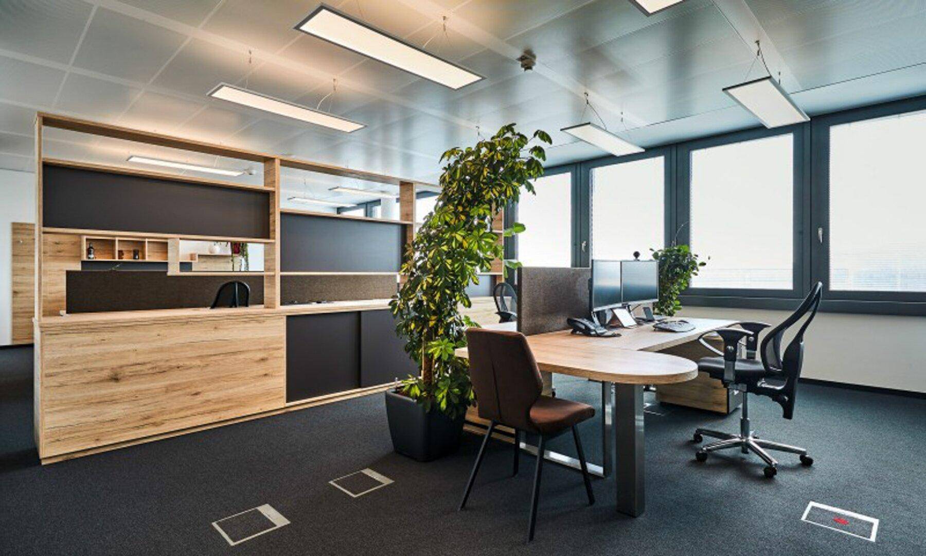 Moderner Büroarbeitsplatz in einem offenen Bereich mit Holzregalen, ergonomischen Stühlen und viel natürlichem Licht.
