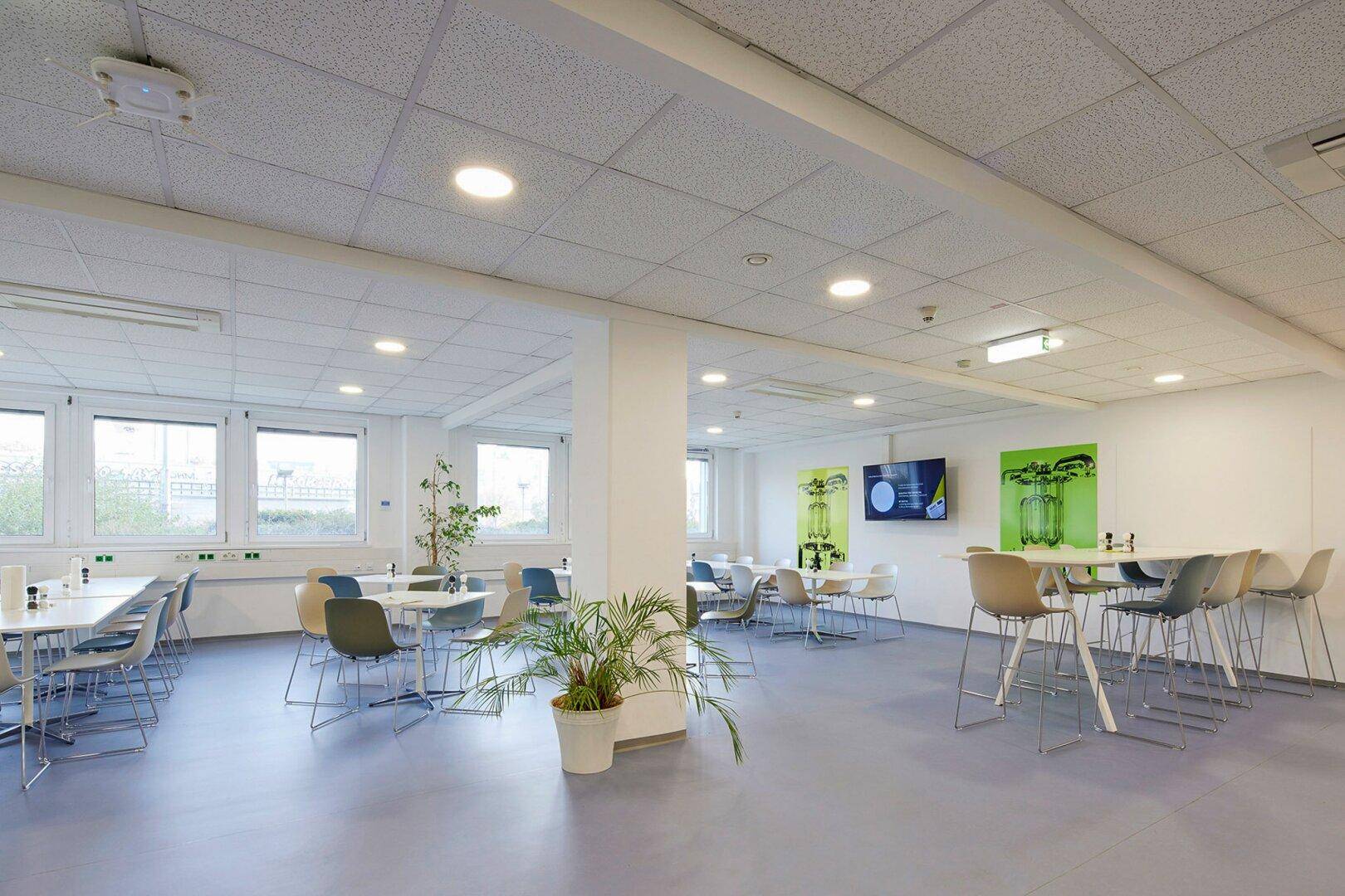 Weitläufige Cafeteria mit verschiedenen Sitzbereichen, Pflanzen und großen Fenstern, ideal für Pausen und Mittagessen.