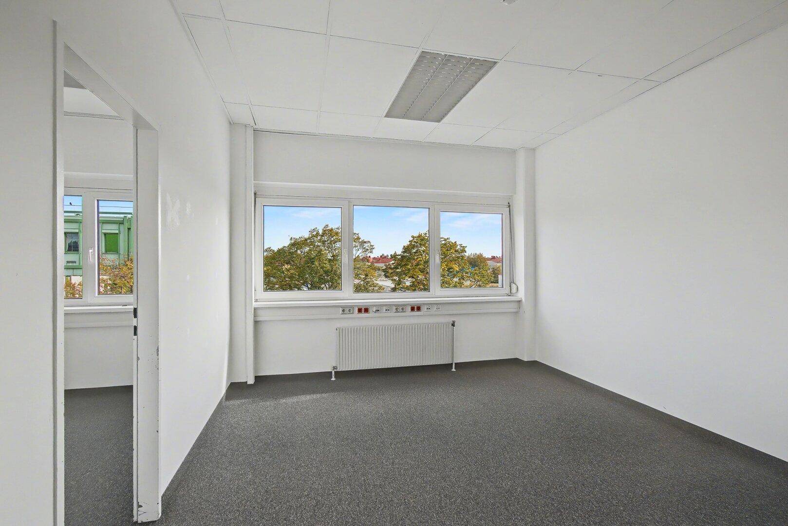 Leeres Büro mit grauem Teppichboden, weißen Wänden und einem Fenster mit Blick ins Grüne.