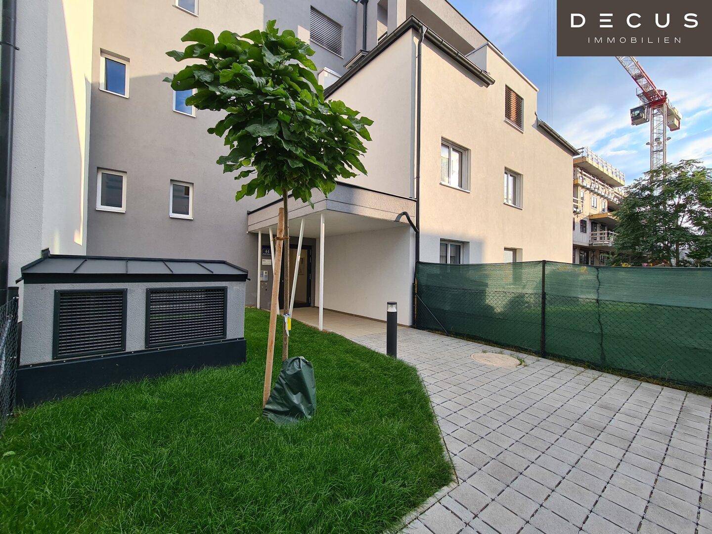 Eingangsbereich eines modernen Gebäudes mit gepflastertem Weg, jungem Baum und Grünfläche.