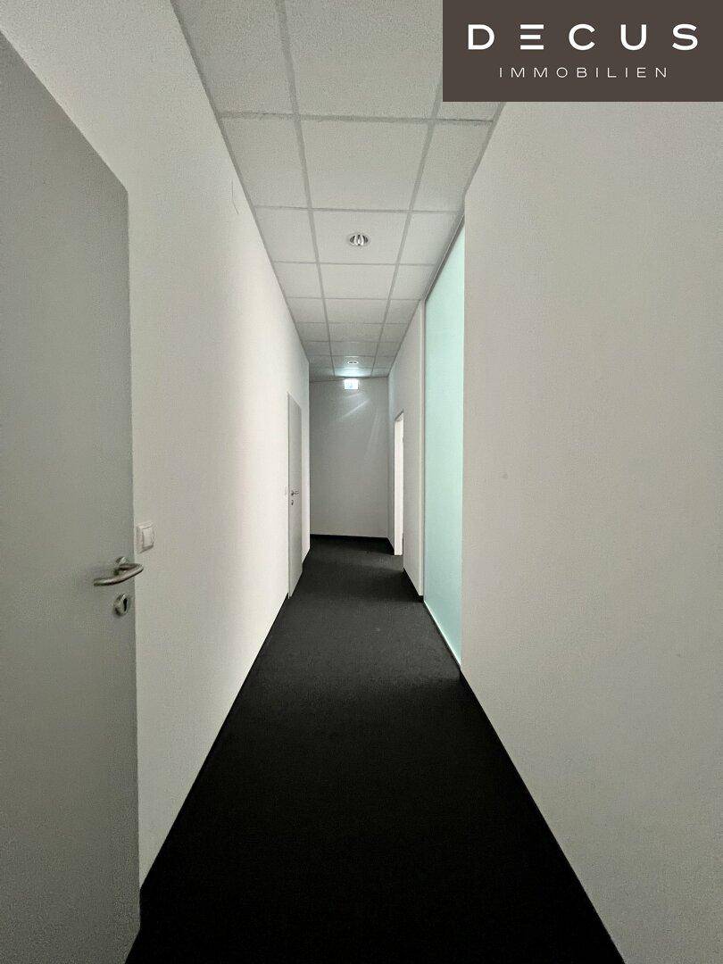 Langer, heller Flur mit dunklem Teppichboden und weißen Wänden, der zu weiteren Räumen führt.