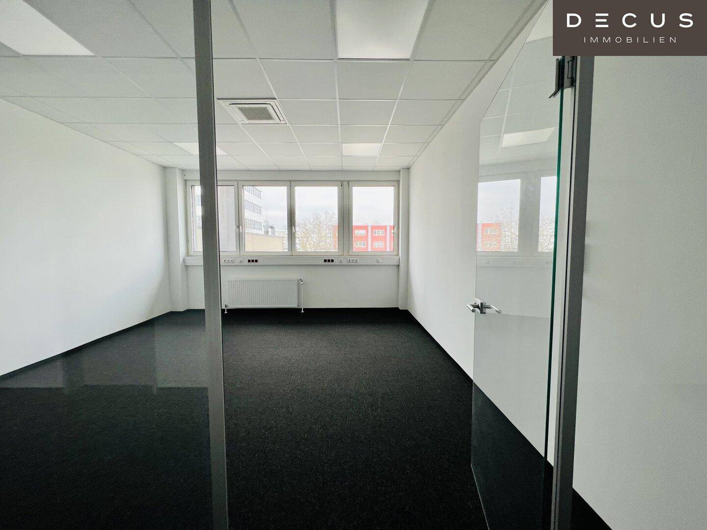 Modernes Büro mit Teppichboden, großen Fenstern und einer eleganten Glaswand, die den Raum unterteilt.