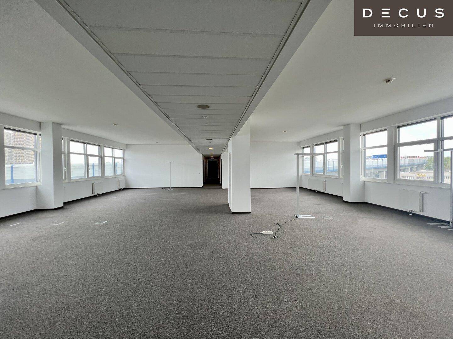 Großer, offener Büroraum mit Teppichboden, vielen Fenstern und abgehängter Decke.