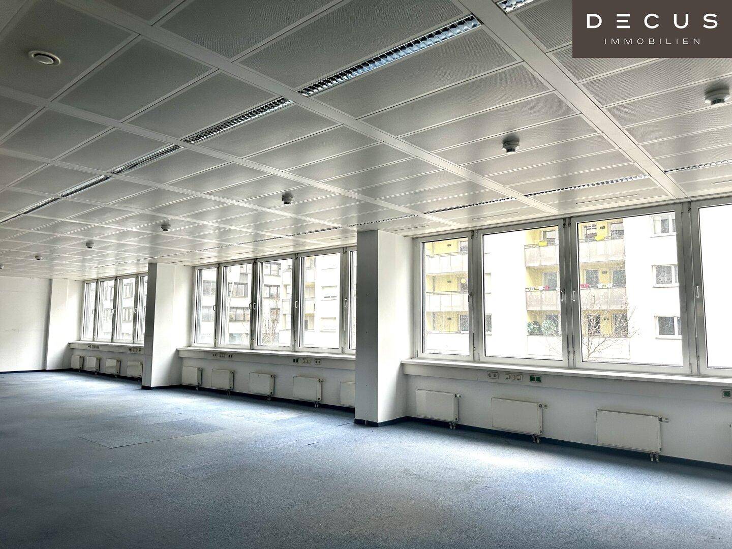 Großer, leerer Büroraum mit vielen Fenstern, die viel Tageslicht hereinlassen, und Teppichboden.