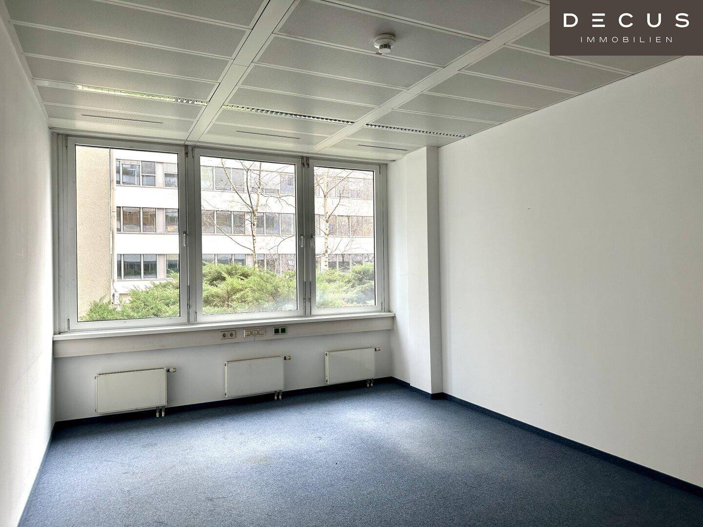 Heller Büroraum mit Teppichboden und großen Fenstern, die einen Blick ins Grüne ermöglichen.