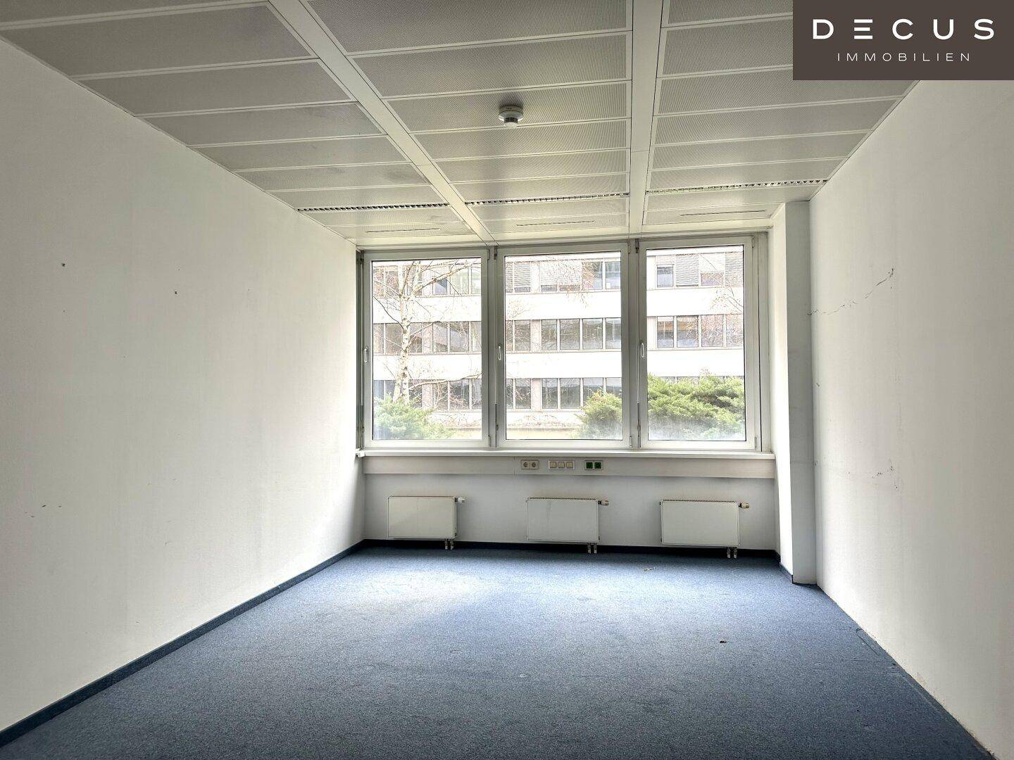 Heller Büroraum mit Teppichboden und großen Fenstern, die viel Tageslicht hereinlassen.