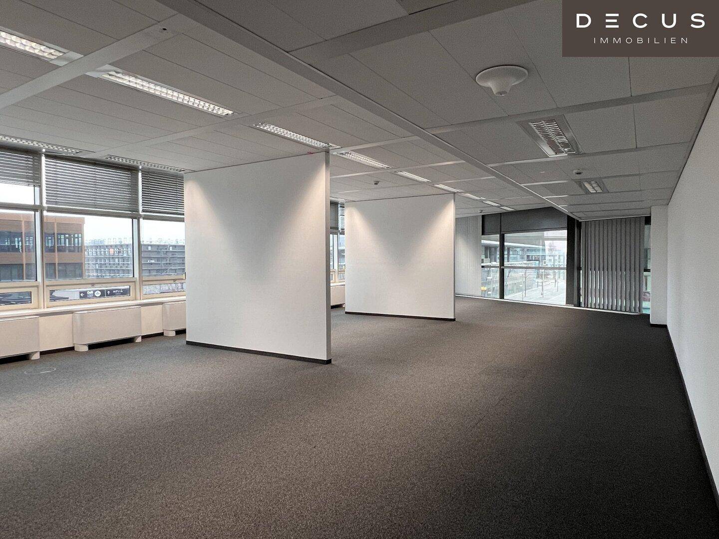 Geräumiges, leeres Büro mit Teppichboden und flexiblen Trennwänden, bereit für die individuelle Gestaltung.
