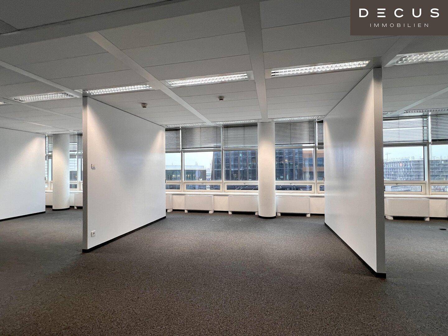 Weitläufiges Büro mit Teppichboden und großen Fenstern, die viel Tageslicht hereinlassen.