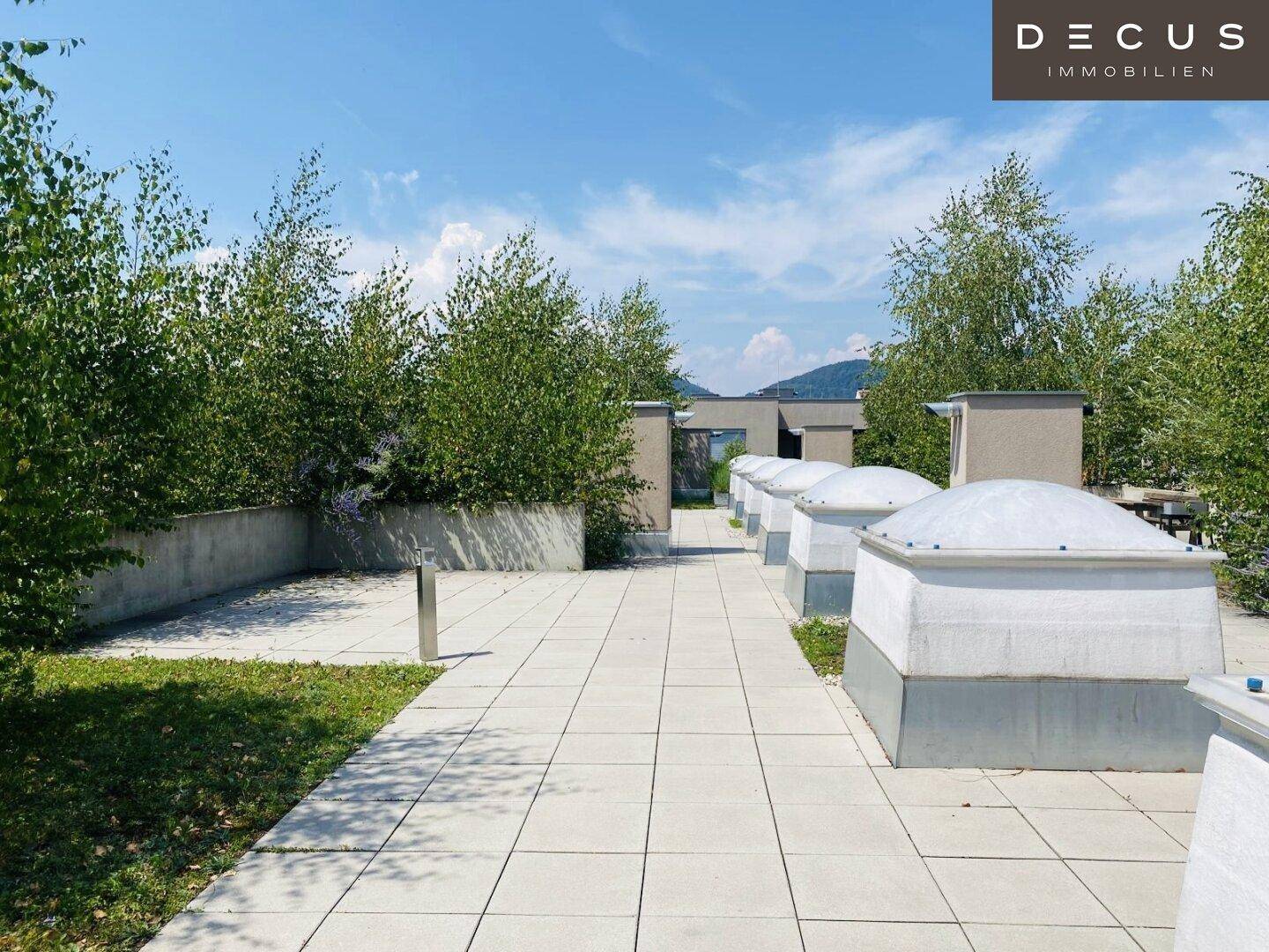 Weitläufige Dachterrasse mit gepflasterten Wegen, Bepflanzung und einem weiten Blick in die Ferne.