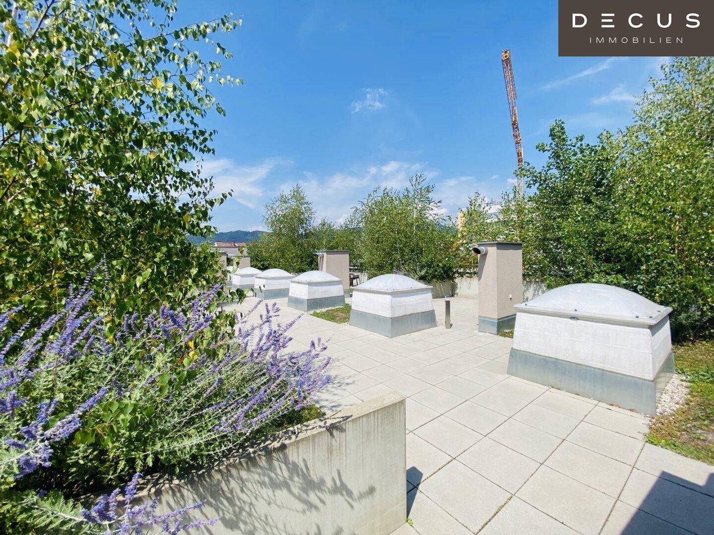 Sonniger Dachgarten mit blühenden Pflanzen, gepflasterten Flächen und einem weiten Ausblick.