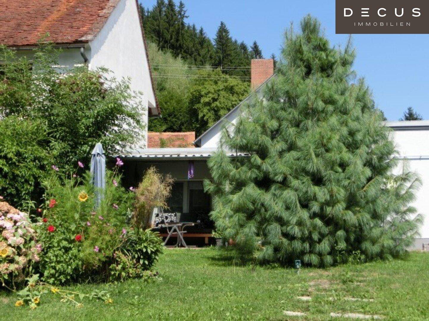 Großer Garten mit Rasenfläche, Bäumen und einer kleinen überdachten Sitzecke.