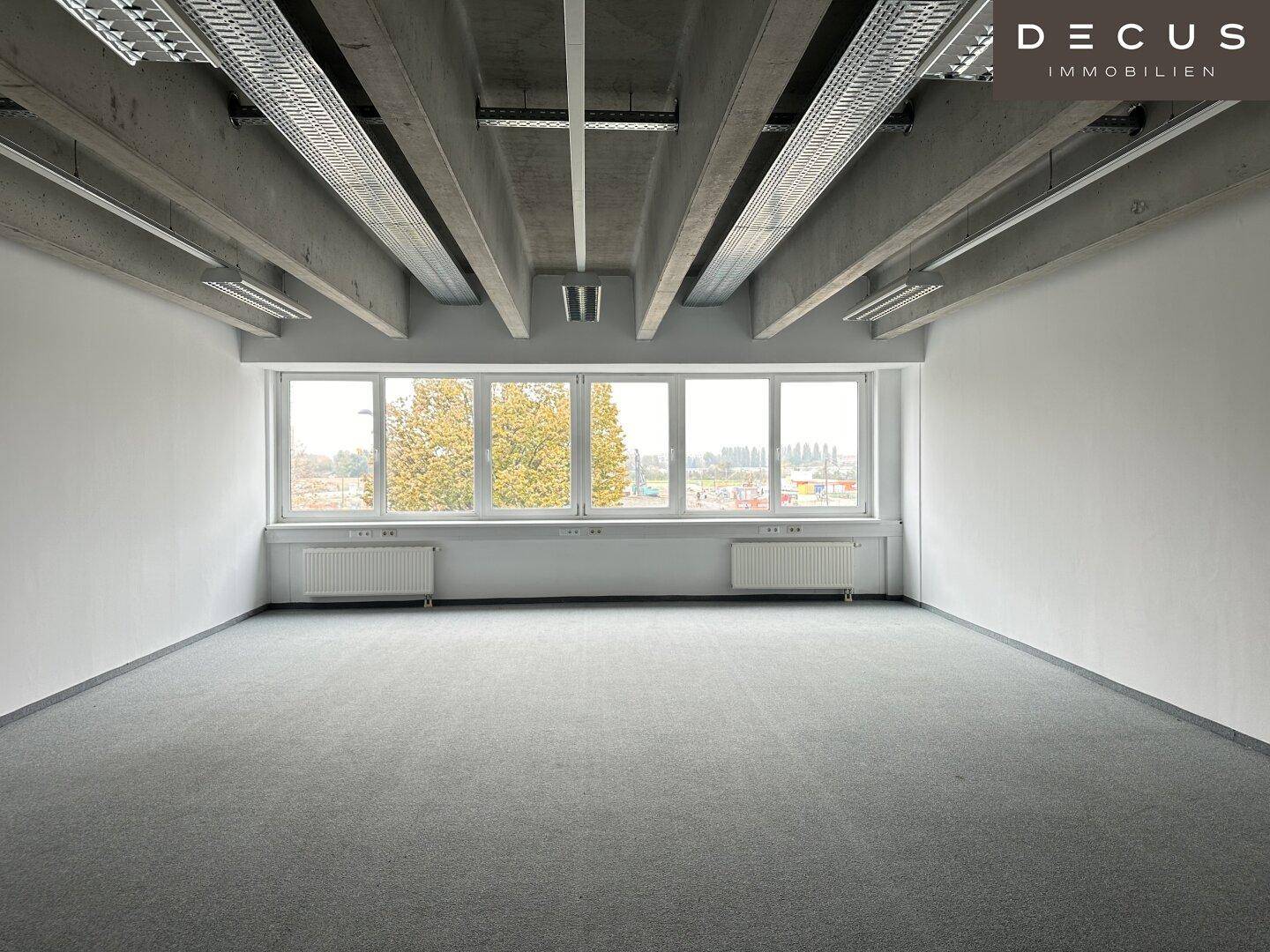 Geräumiger Büroraum mit großen Fenstern, Teppichboden und sichtbaren Deckenbalken.
