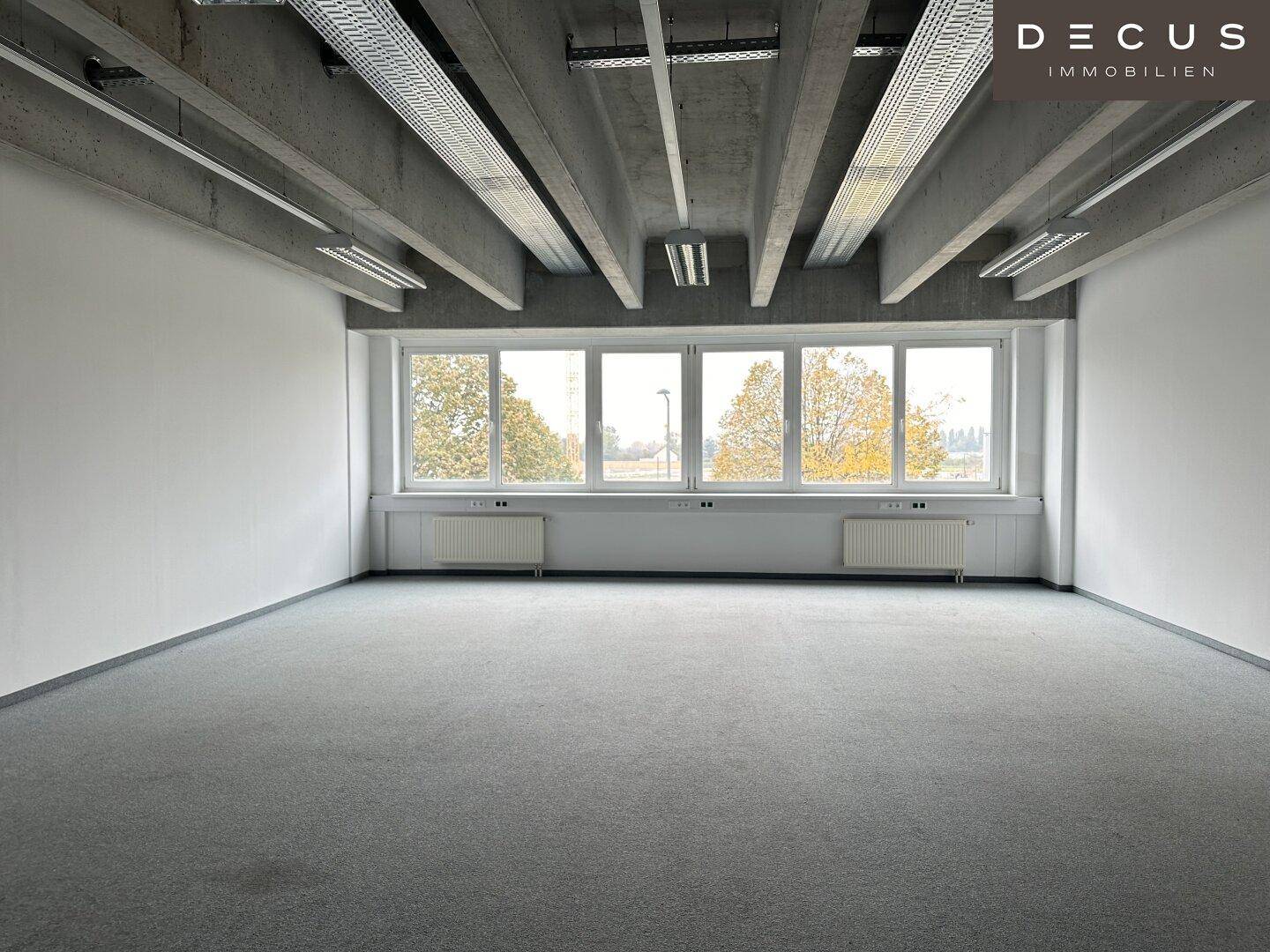 Leerer Büroraum mit Teppichboden, großen Fenstern, die viel Tageslicht hereinlassen, und einer Betondecke.