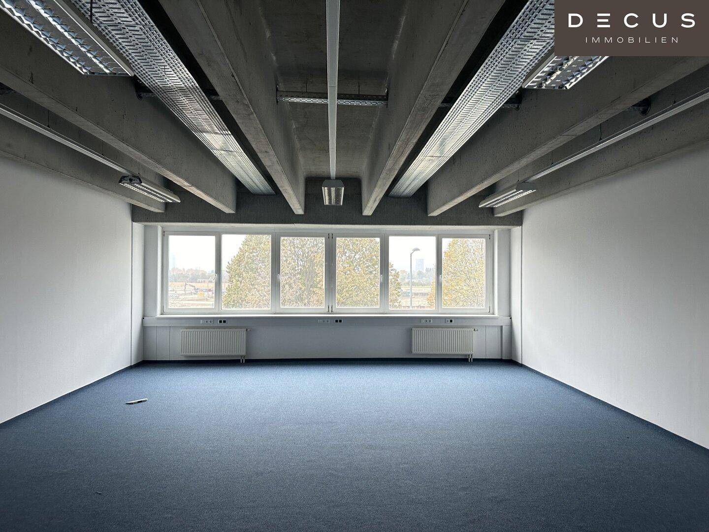 Geräumiger Büroraum mit blauem Teppichboden, großen Fenstern und sichtbaren Betonbalken an der Decke.