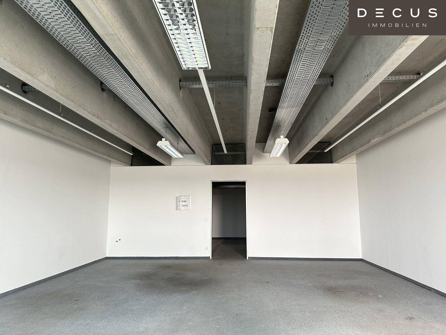 Leerer Büroraum mit Teppichboden und sichtbaren Betondecken, bereit für die individuelle Gestaltung.