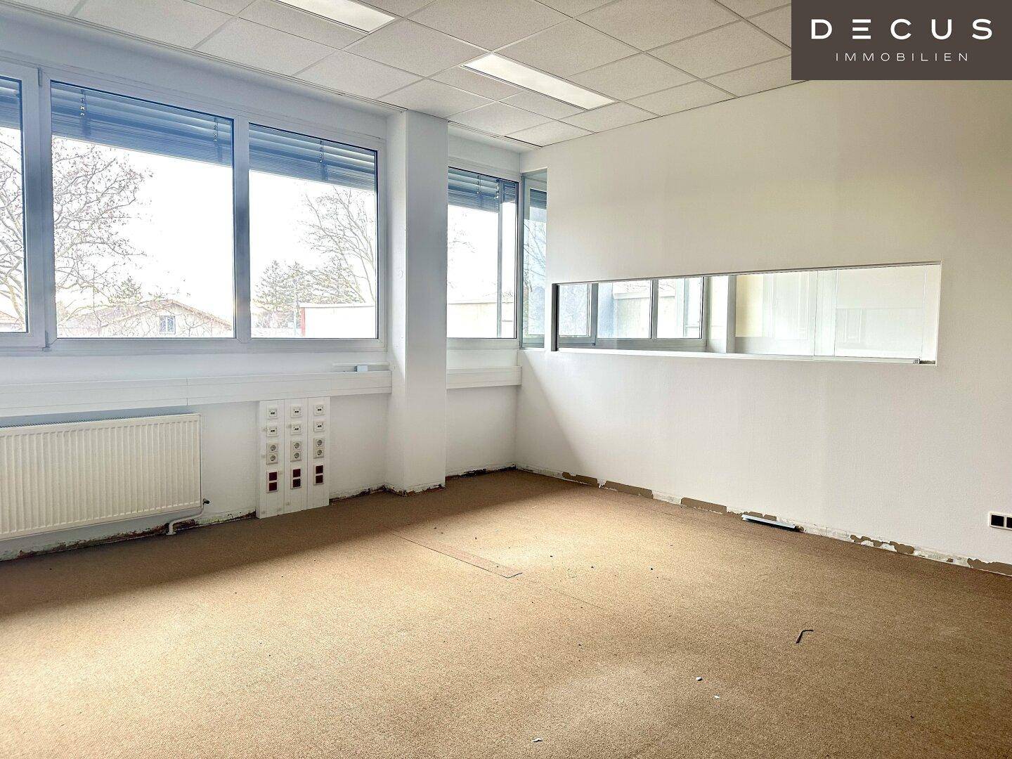 Geräumiges Büro mit Teppichboden, großen Fenstern und einer horizontalen Fensteröffnung zur Flurseite.