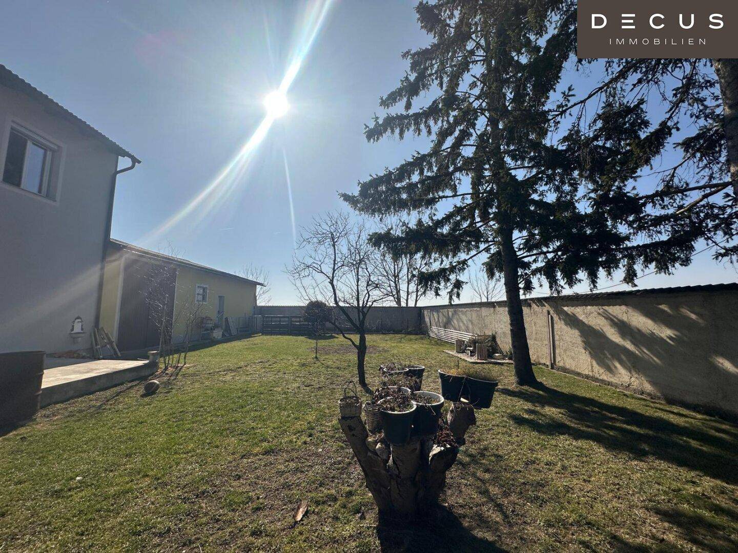 Sonniger Gartenbereich mit Rasen, Bäumen und Blick auf die Umgebung.