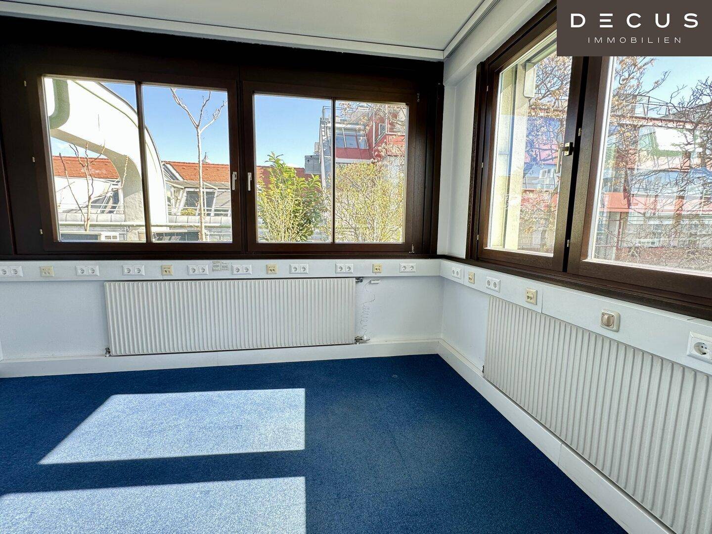 Heller Büroraum mit großen Fenstern, blauem Teppichboden und Heizkörpern unter den Fenstern.