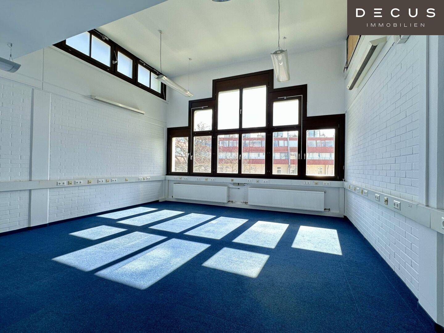 Großes, helles Büro mit blauer Auslegware und vielen Fenstern, die viel Tageslicht hereinlassen.