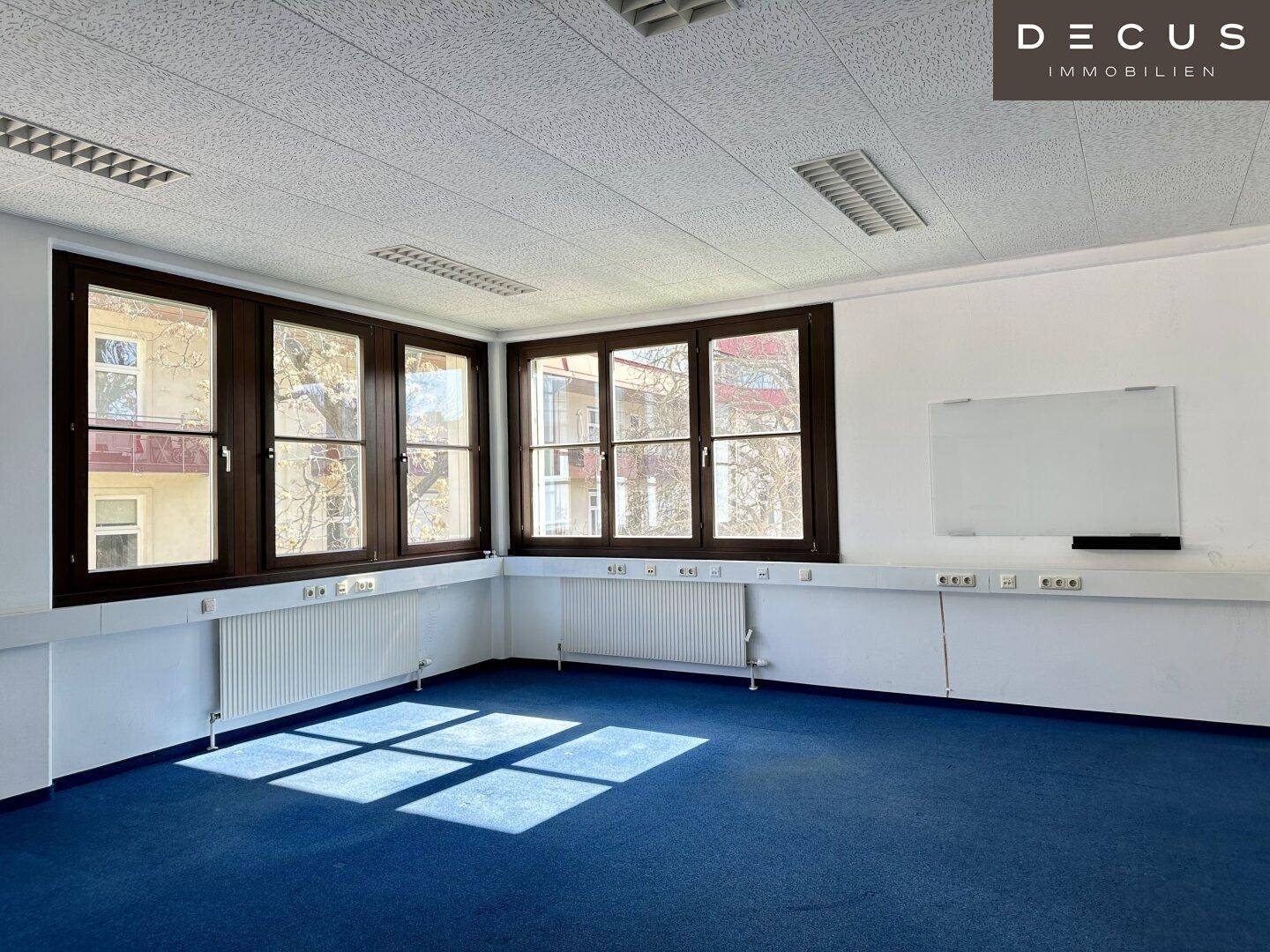Helles Büro mit blauem Teppichboden, großen Fenstern und Deckenbeleuchtung, bietet viel Tageslicht.