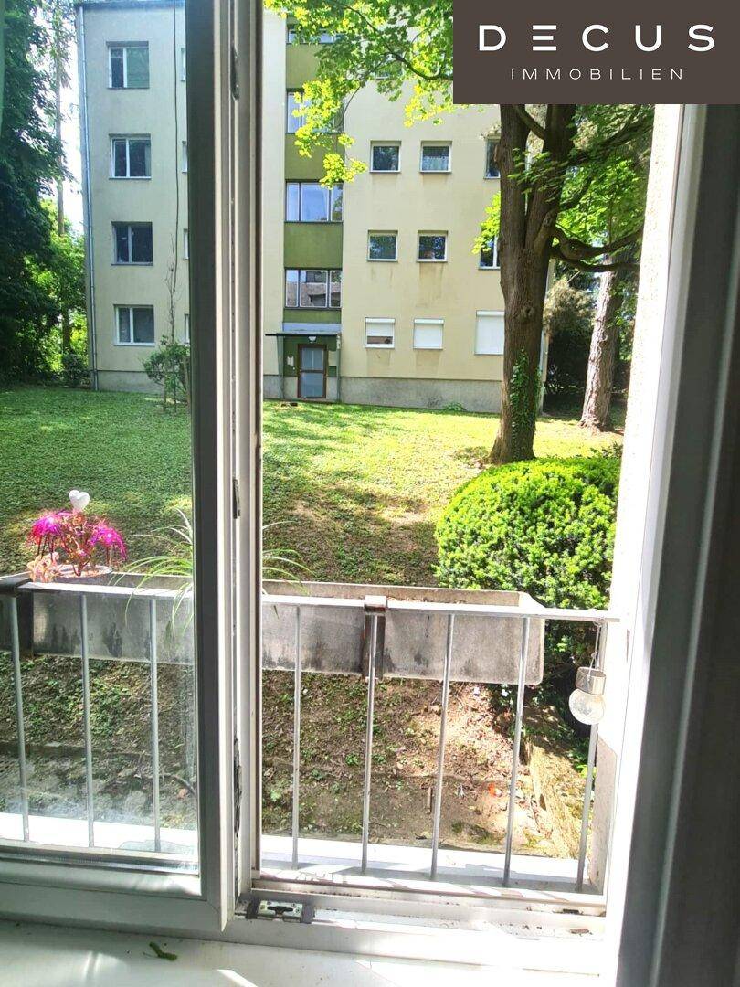 Grün vor dem Fenster