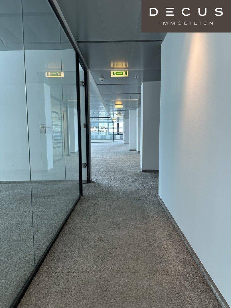 Langer Bürogang mit Teppichboden, Glaswänden und Deckenbeleuchtung, der zu weiteren Büros führt.