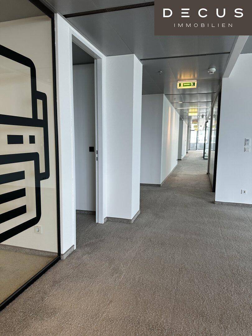 Langer Bürogang mit Teppichboden, Glaswänden und Deckenbeleuchtung, der zu weiteren Büros führt.